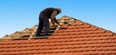 Writing - Fall Roof Maintenance
